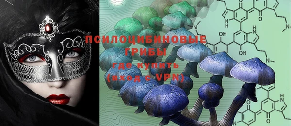 дмт Кукмор