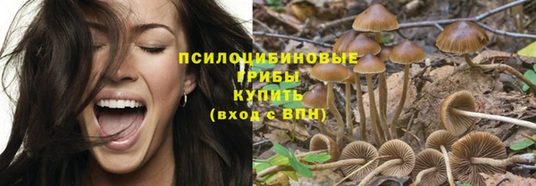 соль курить ск Кулебаки